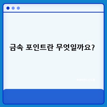 금속 포인트란 무엇일까요?