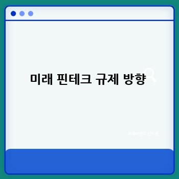 미래 핀테크 규제 방향