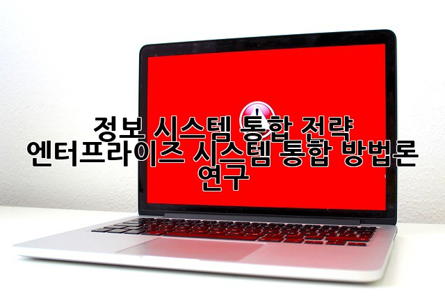 정보 시스템 통합 전략: 엔터프라이즈 시스템 통합 방법론 연구