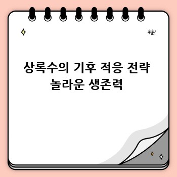 상록수의 기후 적응 전략 놀라운 생존력