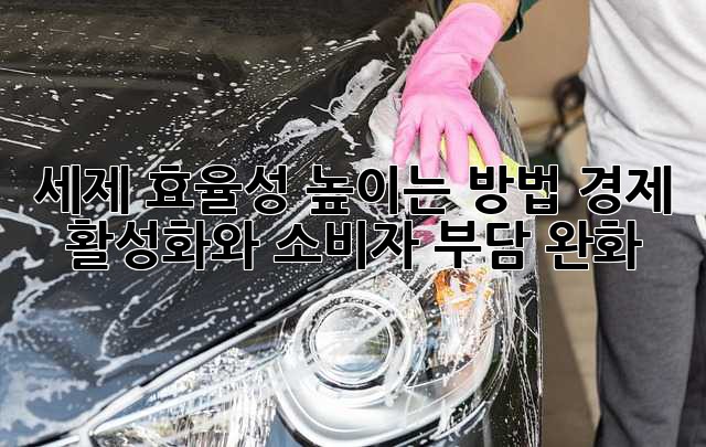 세제 효율성 높이는 방법: 경제 활성화와 소비자 부담 완화