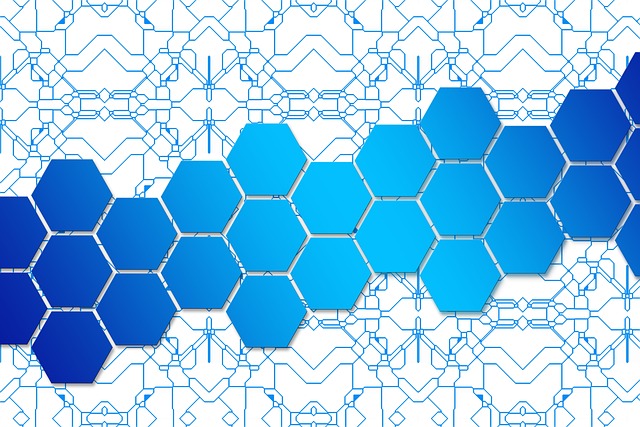 네트워크 보안 강화: VPN, IDS, IPS 시스템 완벽 가이드