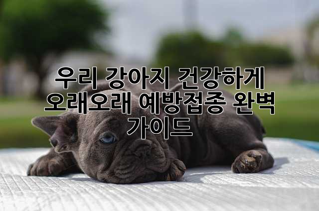 우리 강아지, 건강하게 오래오래! 예방접종 완벽 가이드