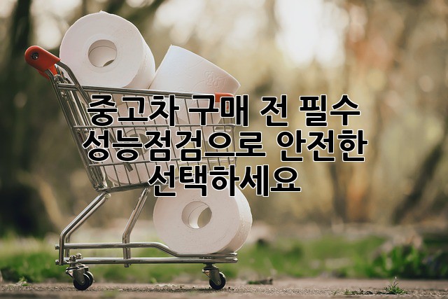 중고차 구매 전 필수! 성능점검으로 안전한 선택하세요