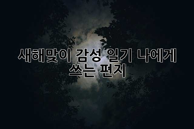 새해맞이 감성 일기: 나에게 쓰는 편지💌