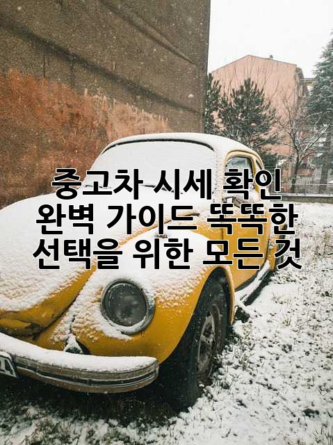 중고차 시세 확인 완벽 가이드: 똑똑한 선택을 위한 모든 것