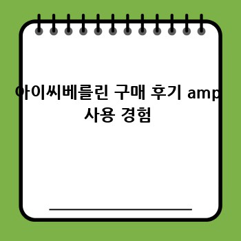 아이씨베를린 구매 후기 amp 사용 경험