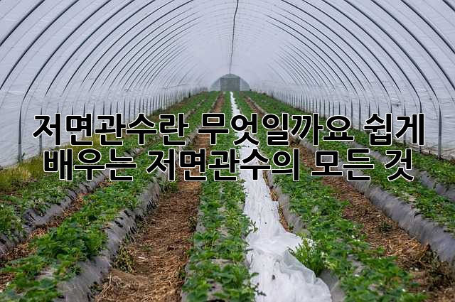 저면관수란 무엇일까요? 쉽게 배우는 저면관수의 모든 것