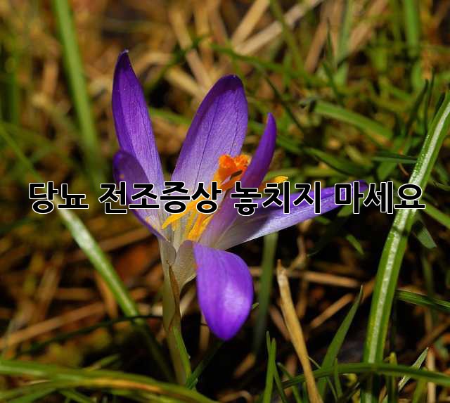 당뇨 전조증상: 놓치지 마세요!