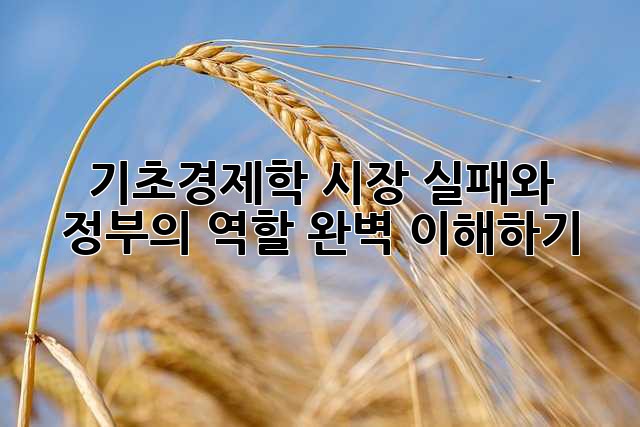 기초경제학: 시장 실패와 정부의 역할 완벽 이해하기