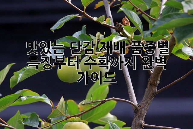 맛있는 단감 재배, 품종별 특징부터 수확까지 완벽 가이드!