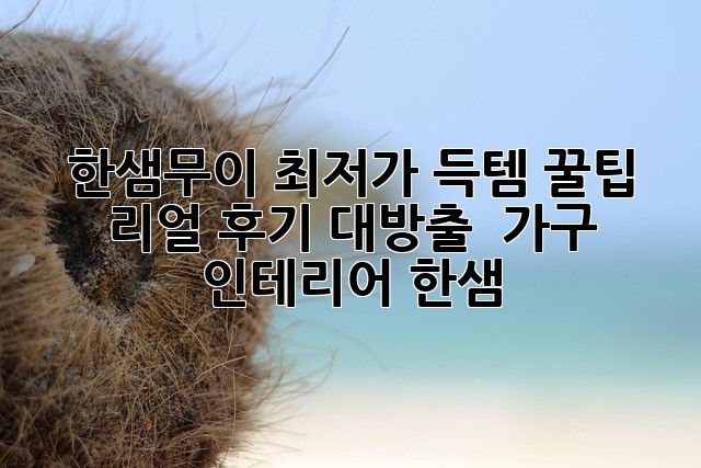 ✨ 한샘무이 최저가 득템! 꿀팁 & 리얼 후기 대방출 🛋️ #가구 #인테리어 #한샘
