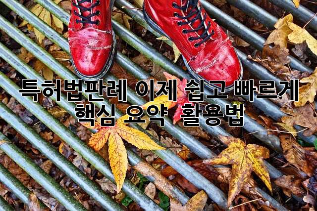특허법판례, 이제 쉽고 빠르게! 🚀 핵심 요약 & 활용법