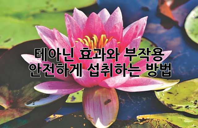 테아닌 효과와 부작용: 안전하게 섭취하는 방법