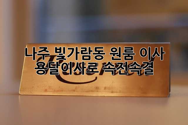 나주 빛가람동 원룸 이사, 용달이사로 속전속결!